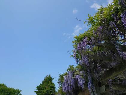 『何者かになろうとしないで』の真意